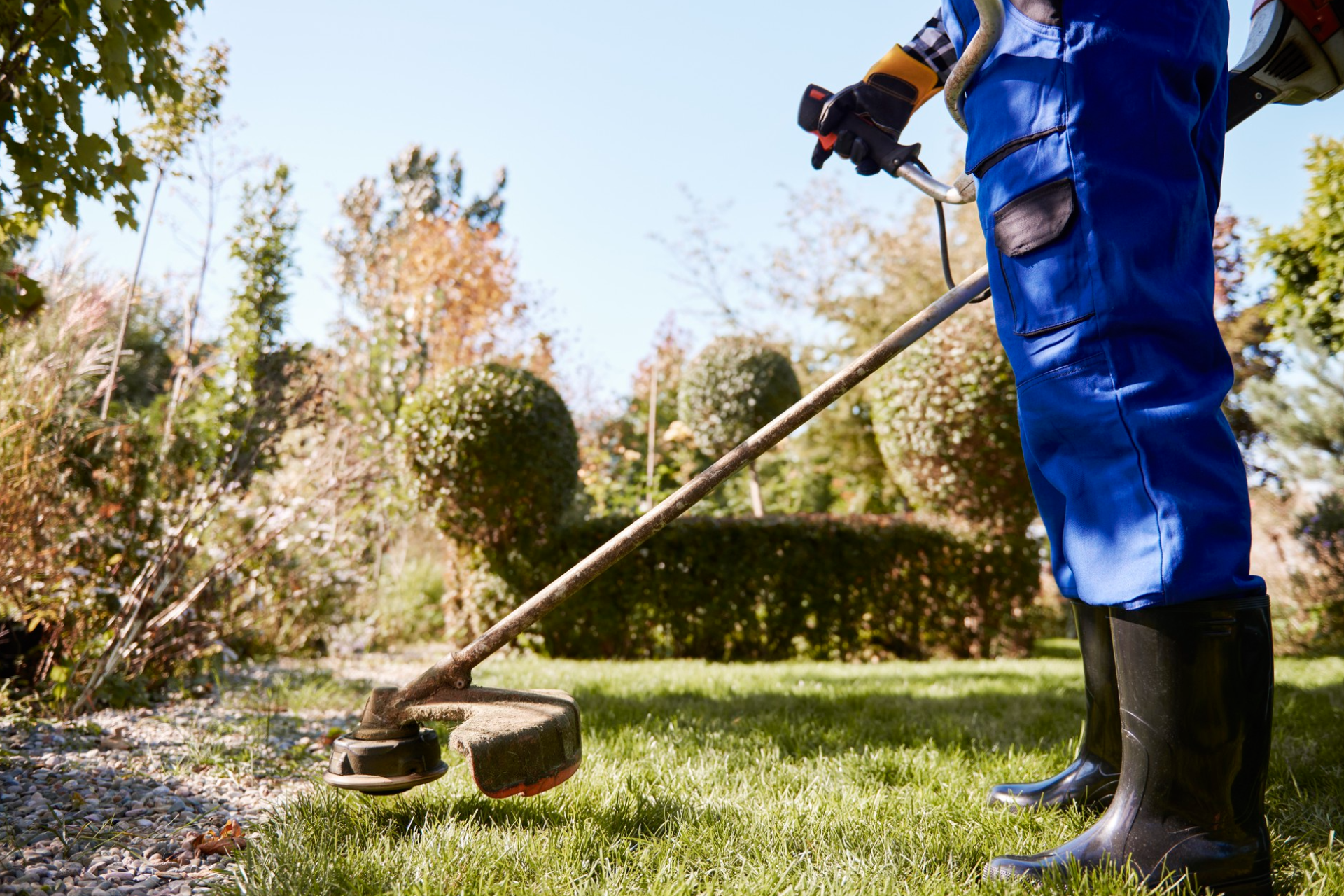 What Are the Benefits of Garden Maintenance Services for People with Disabilities?